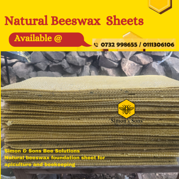 Natural Beeswax Foundation Sheet For Apiculture And Beekeeping - Honeypot