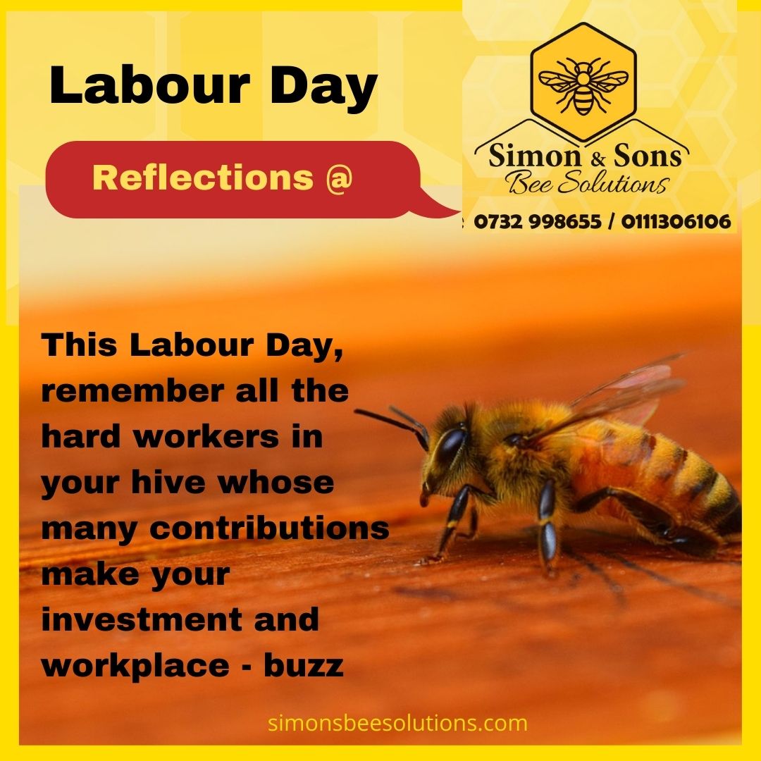 applaud-bees-every-day-is-labour-day-and-why-deep-dive-honeypot